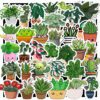 Bộ 50 Sticker Cây Cối – Chill Xanh, Dán Đâu Cũng Hợp Sticker Cay Coi 1