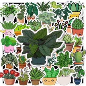 Sticker Cay Coi 2