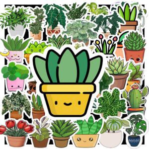 Sticker Cay Coi 3
