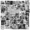 Sticker Cho Meo Trang Den 1