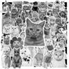 Sticker Meo De Thuong 3