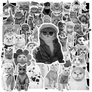 Sticker Meo De Thuong 4