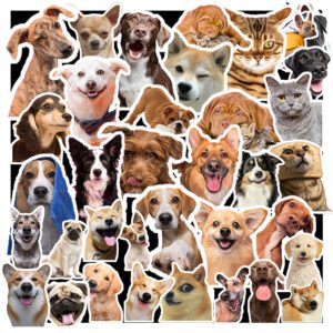Bộ 50 Sticker Hình Ảnh Chó Mèo – Mỗi Sticker Là Một Boss Cực Xịn