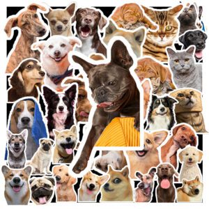 Bộ 50 Sticker Hình Ảnh Chó Mèo – Mỗi Sticker Là Một Boss Cực Xịn poster6 16