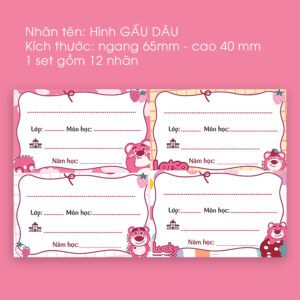 Combo 12 Nhãn Tên Hình Gấu Dâu – Màu Hồng Dễ Thương, Ghi Nhớ Môn Học Cực Chuẩn
