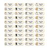 150 Sticker Tên Hình Mèo (3.3x1cm) – Sticker Dán Tên Cá Nhân Dễ Thương, Dành Cho Bé Gái Yêu Mèo sticker ten 4