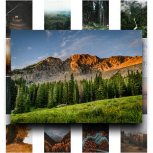 Combo 50 Poster Dán Tường Chủ Đề Rừng Núi – Chill Vintage, Tươi Mát & Trầm Lặng