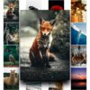 50 Poster Động Vật – Hành Trình Gặp Gỡ Thiên Nhiên Qua Từng Khung Hình poster4 8