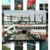 50 Poster Phong Cảnh Đà Lạt – Lưu Giữ Vẻ Đẹp Thành Phố Sương Mù Trong Từng Khung Hình poster5 6