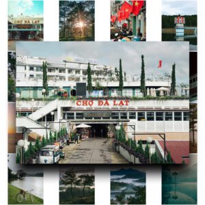 50 Poster Phong Cảnh Đà Lạt – Lưu Giữ Vẻ Đẹp Thành Phố Sương Mù Trong Từng Khung Hình